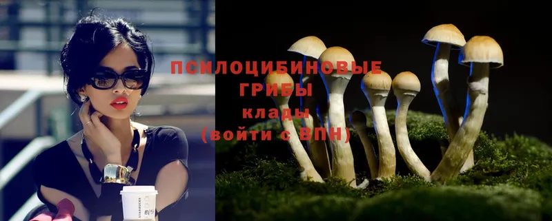 Псилоцибиновые грибы Magic Shrooms  Еманжелинск 